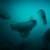 Куплю битые запчасти - последнее сообщение от Underwater